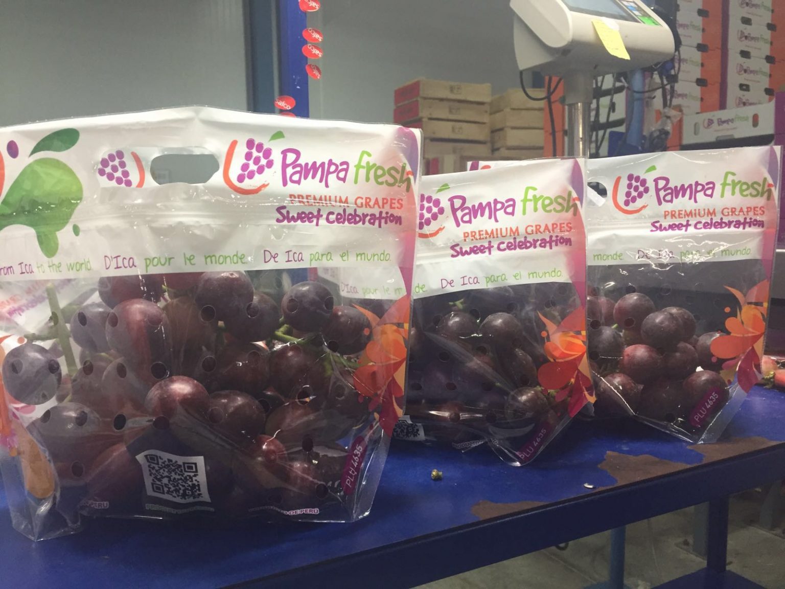 Challapampa Pampa Fresh Bagged Sweet Celebration Grapes 中国水果门户