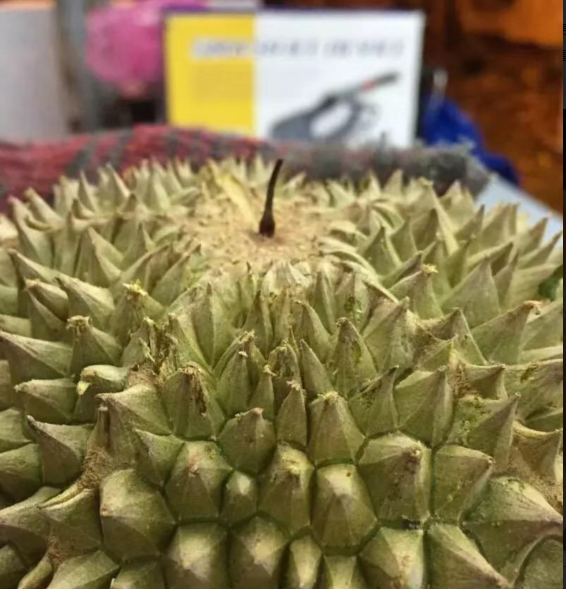 中科院专家曝盒马黑刺榴莲“品种造假”,盒马诚恳道歉,称将全额退款 中科院专家曝盒马黑刺榴莲“品种造假”,盒马诚恳道歉,称将全额退款