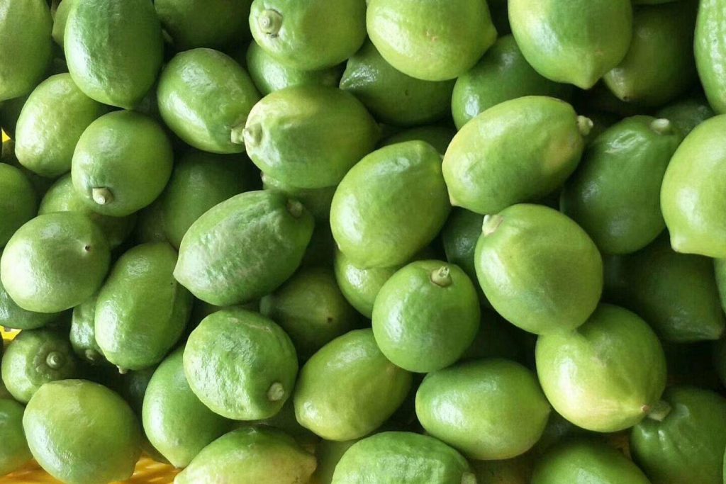 香水柠檬 身价 暴涨4倍 市场供不应求 中国水果门户